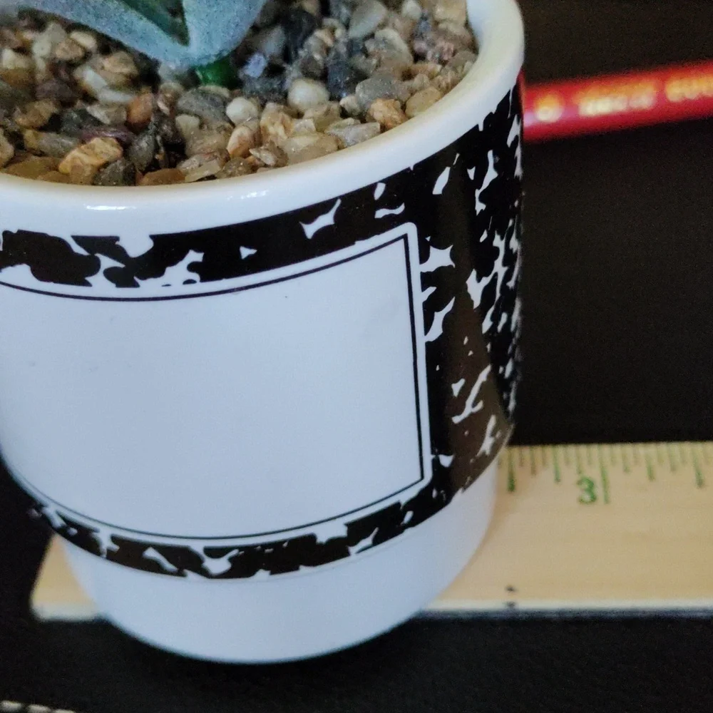 Planter for teacher with faux succulent - Picture 9 of 10